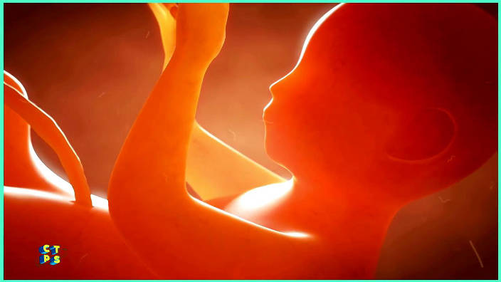 Reproduction : comment fait-on les bébés ?